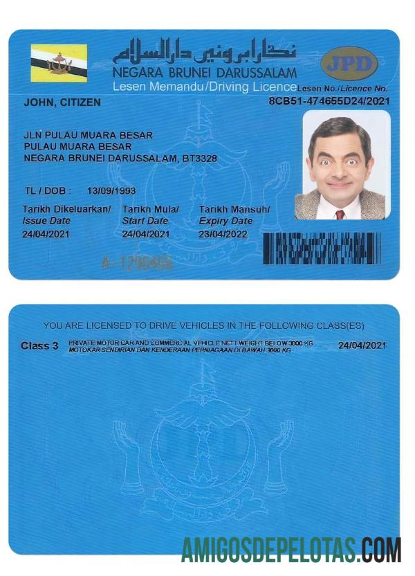 Carteira de motorista de Brunei amostra